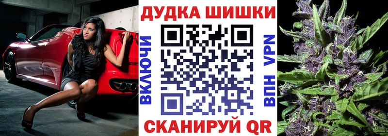 Канабис OG Kush  Черноголовка 